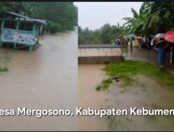 Hujan deras Hampir Semalam, Air Kali Di Desa Mergosono Meluap Hampir Lewati Jembatan