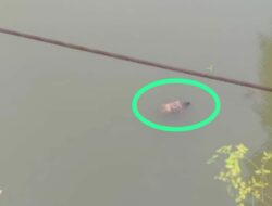 Heboh…!!! Mayat Seorang IRT di Temukan Terapung di Sungai Jeneberang Sungguminasa