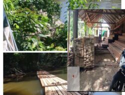 Masih Marak Somel dan Diduga Mengolah Kayu Hutan di luar Ijin di Desa Melana, Kec. Sokan, Kab. Melawi, Kalbar Forkopimda Melawi di Minta Tindak Tegas