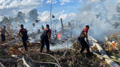 Brimob Polda Sumut Padamkan Kebakaran di Desa Maris, Kec. Angkola Timur