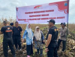 Brimobda Sumut Laksanakan Pengolahan Awal Lahan untuk Program Ketahanan Pangan di Kota Binjai