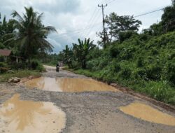 Pemprov Kalbar Kemana ??..Ruas Jalan Simpang Tiga-Darit Kian hari Terabaikan Bak Jablai (Jarang Di Belai)